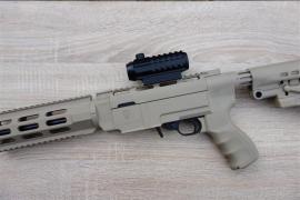 Ruger 10-22 Custom Image 2