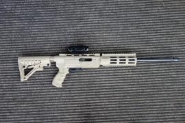 Ruger 10-22 Custom Image 4