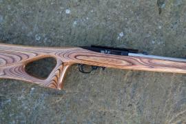 Ruger 10-22 Custom