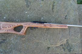 Ruger 10-22 Custom Image 2