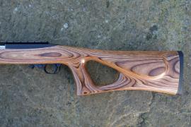 Ruger 10-22 Custom Image 3