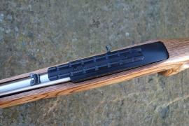 Ruger 10-22 Custom Image 4